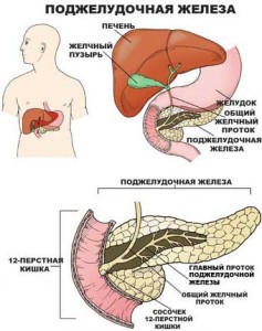 podjeludochaya_jeleza001